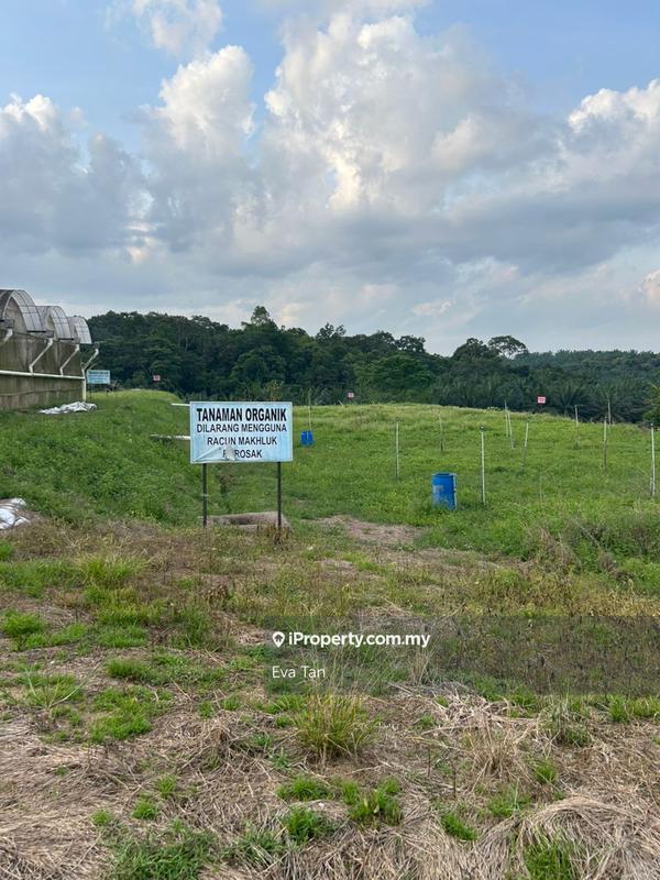 Agricultural Land for Sale in Kuala Sedili, Mawai, Kota Tinggi by Eva Tan - iProperty.com.my