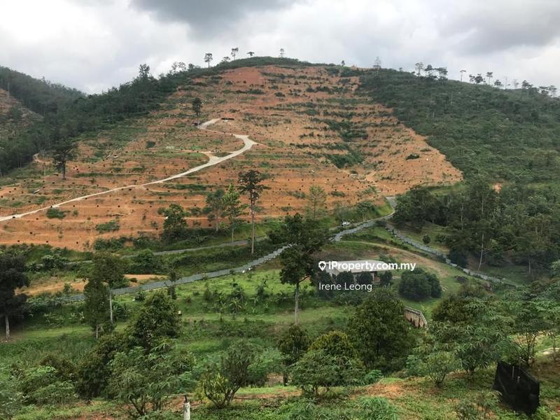 Agricultural Land for Sale in Karak, Pahang by Irene Leong - iProperty.com.my