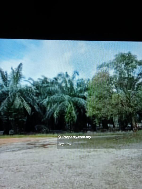For Sale - Perak Larut Matang