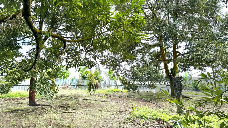 Agricultural Land for Sale in Cinta Manis, Karak by Damon Wong - iProperty.com.my