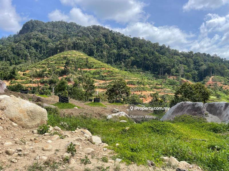Agricultural Land for Sale in Karak, Bentong by Damon Wong - iProperty.com.my