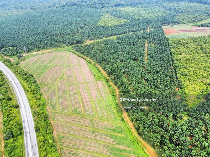 Agricultural Land for Sale in Pantai, Negeri Sembilan by Mohamad Faleeq - iProperty.com.my