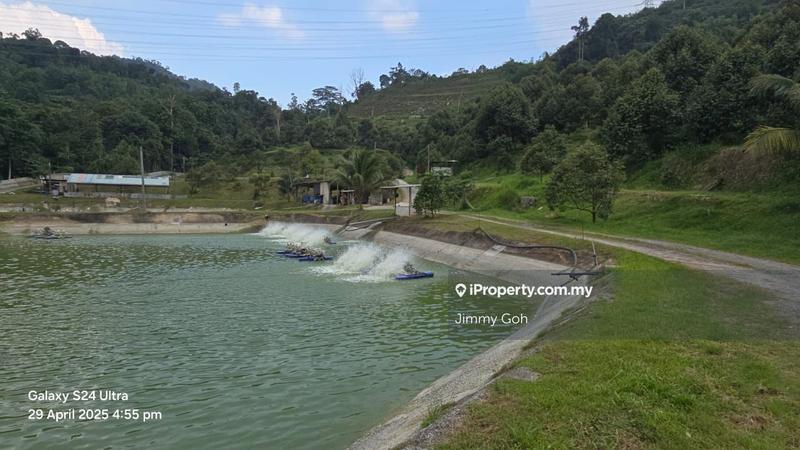 Tanah Pertanian untuk Dijual di Kampung Sungai Tekali, Hulu Langat oleh Jimmy Goh - iProperty.com.my