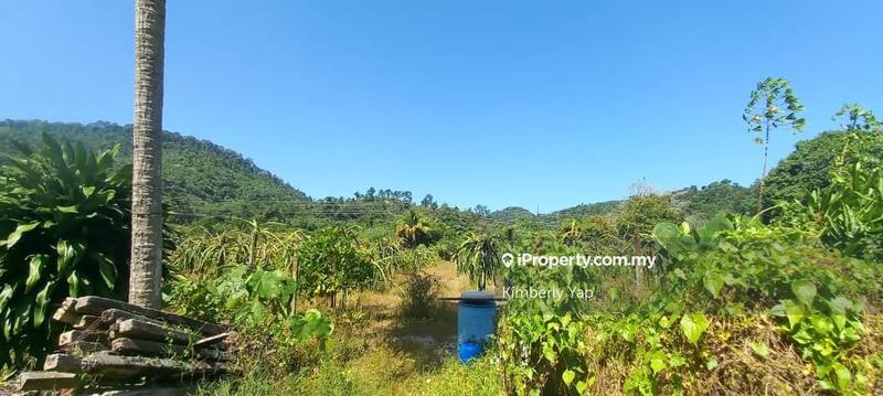 Tanah Pertanian untuk Disewa di Kampung Mantin, Mantin oleh Kimberly Yap - iProperty.com.my