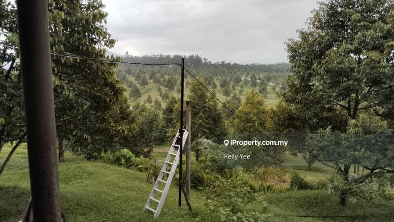 Tanah Pertanian untuk Dijual di Kampung Sungai Terap, Serdang oleh Kelly Yee - iProperty.com.my