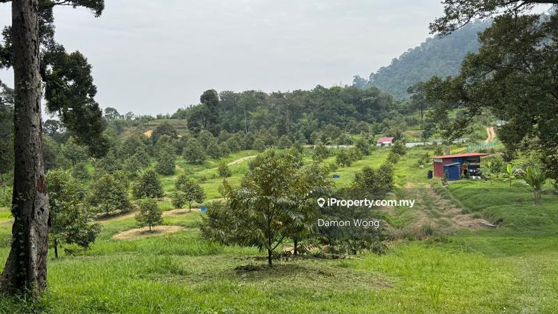 Agricultural Land for Sale in Karak, Karak by Damon Wong - iProperty.com.my