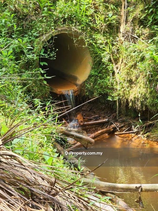 Tanah Pertanian untuk Dijual di Jerangsang, Kuala Lipis oleh Vincent Tee - iProperty.com.my