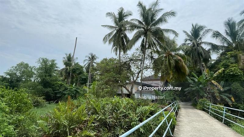 For Sale - Chekok