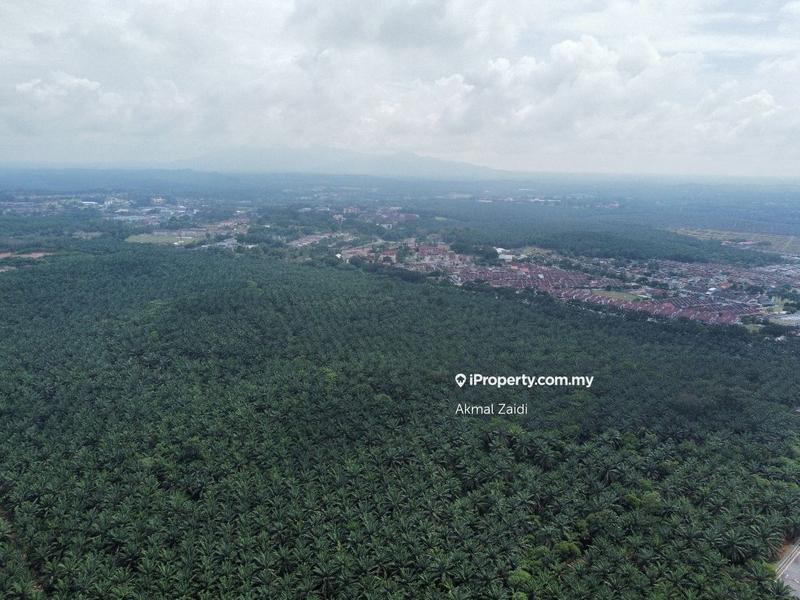 Agricultural Land for Sale in Melaka City, Melaka by Akmal Zaidi - iProperty.com.my