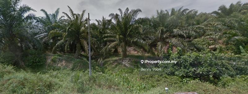 For Sale - Agriculture Land Sg.Siput