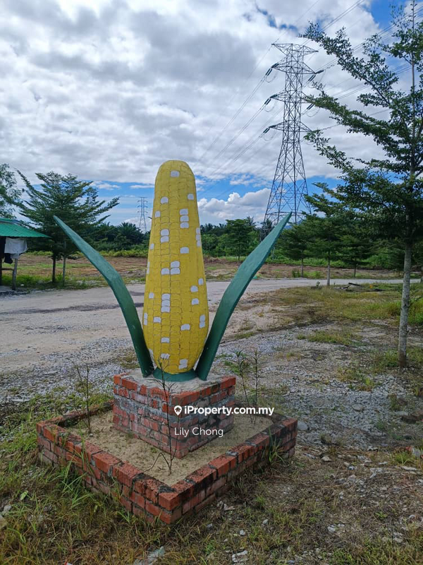 Agricultural Land for Sale in Chemor, Perak by Lily Chong - iProperty.com.my