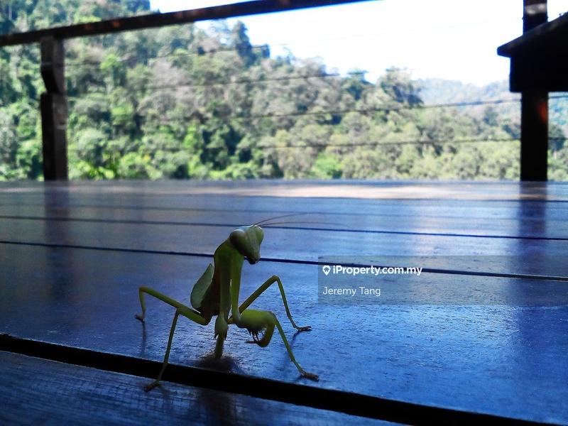 Hotel / Resort for Sale in Seremban, Negeri Sembilan by Jeremy Tang - iProperty.com.my