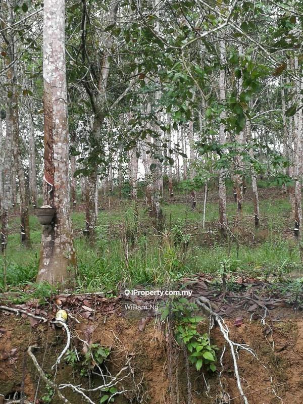 Tanah Pertanian untuk Dijual di Taman Jelebu, Kuala Klawang oleh William Ng - iProperty.com.my