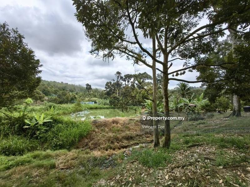 Tanah Pertanian untuk Dijual di Cheroh, Raub oleh Vincent Tee - iProperty.com.my