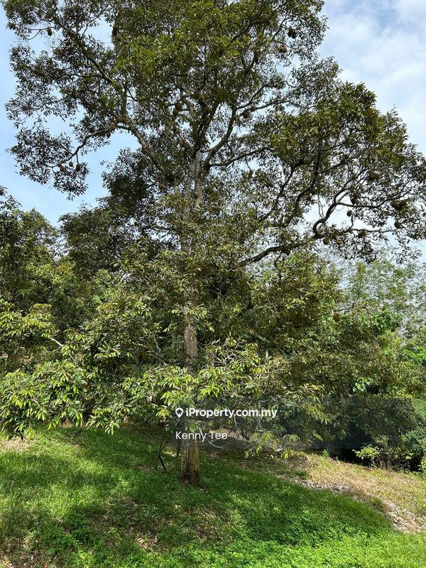 Tanah Pertanian untuk Dijual di Felda Titi, Titi oleh Kenny Tee - Exterior - iProperty.com.my