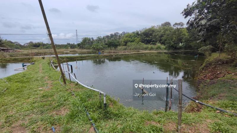 For Sale - Kerling, Kalumpang, Selangor, Agriculture Land For Sale