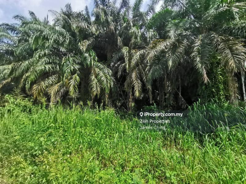 Tanah Perindustrian untuk Dijual di sungai buloh, Rawang oleh James Ch'ng - iProperty.com.my