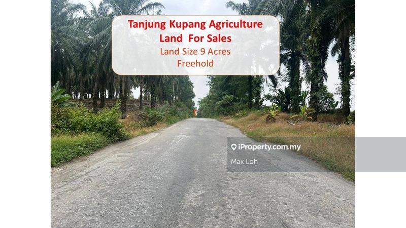 For Sale - Tanjung Kupang, Tanjung Pelepas, Agriculture Land