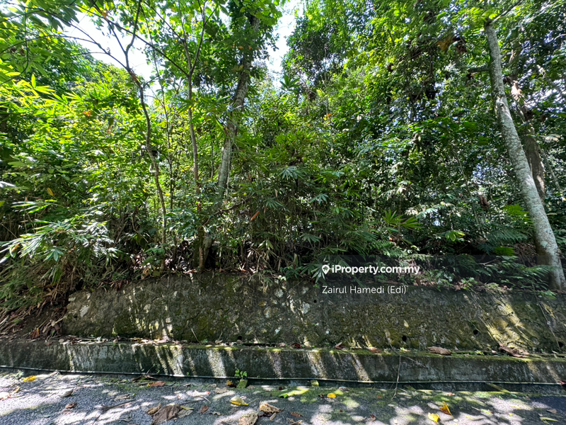 Tanah Komersial untuk Dijual di Kampung Palimbayan, Sungai Penchala oleh Zairul Hamedi (Edi) - iProperty.com.my