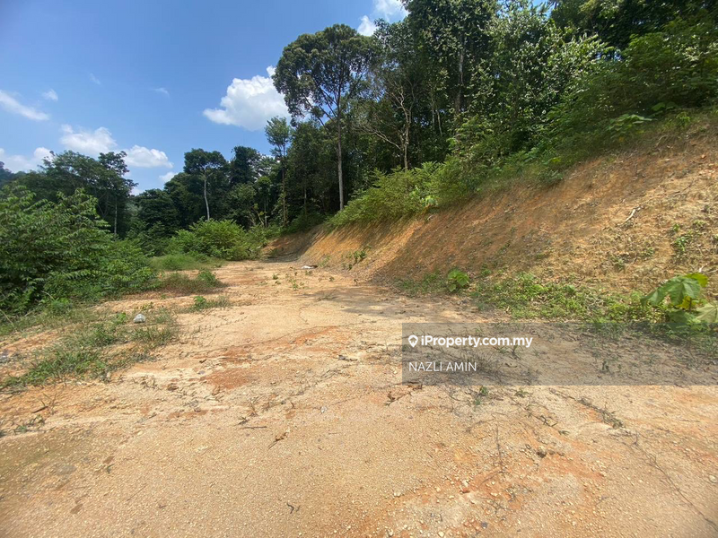 Tanah Pertanian untuk Dijual di Sungai Pening, Semenyih oleh NAZLI AMIN - iProperty.com.my