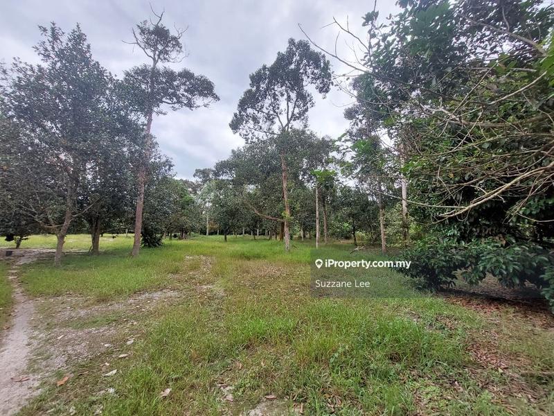 Agricultural Land for Sale in Kampung Kemunting Baru, Karangan by Suzzane Lee - iProperty.com.my