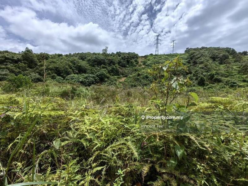 Agricultural Land for Sale in Bandar Baru Kuala Lipis, Kuala Lipis by Vincent Tee - iProperty.com.my