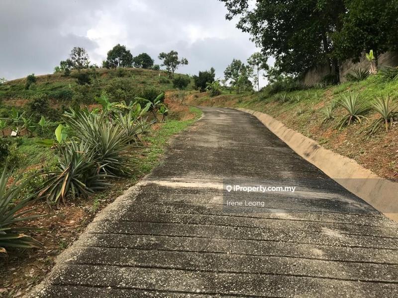 Agricultural Land for Sale in Karak, Pahang by Irene Leong - iProperty.com.my
