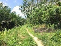 For Rent - Jamaluang, Mersing