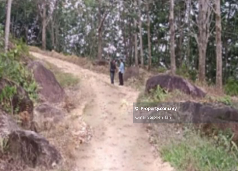 Agricultural Land for Sale in Kota Marudu, Sabah by Omar Stephen Tan - iProperty.com.my