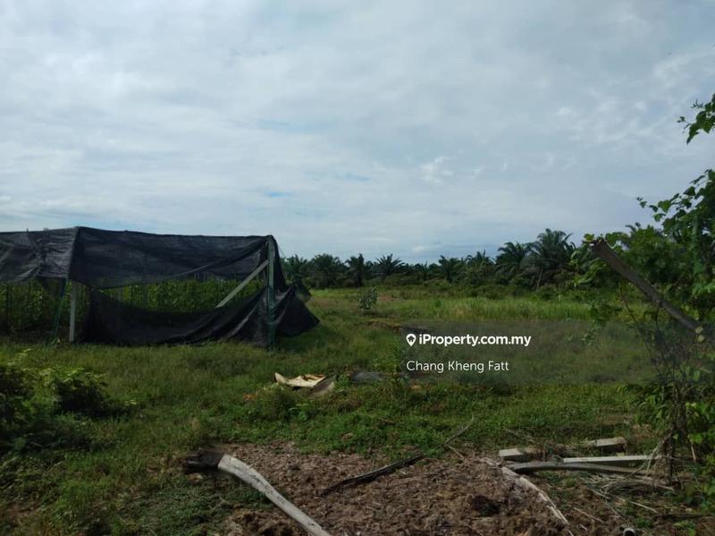 Tanah Pertanian untuk Dijual di Banting, Banting oleh Chang Kheng Fatt - iProperty.com.my