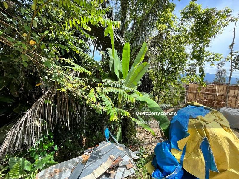 Bungalow Land for Sale in Bukit Tinggi, Bentong by Jason Wong - iProperty.com.my