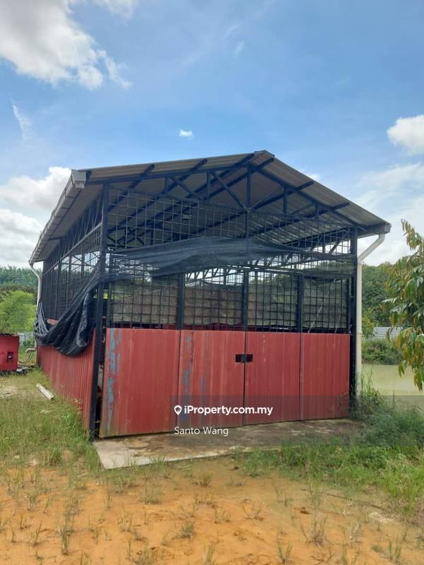 Agricultural Land for Sale in Sungai Tiram, Ulu Tiram by Santo Wang - iProperty.com.my