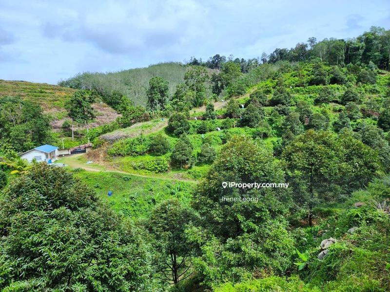 Tanah Pertanian untuk Dijual di Karak, Pahang oleh Irene Leong - iProperty.com.my
