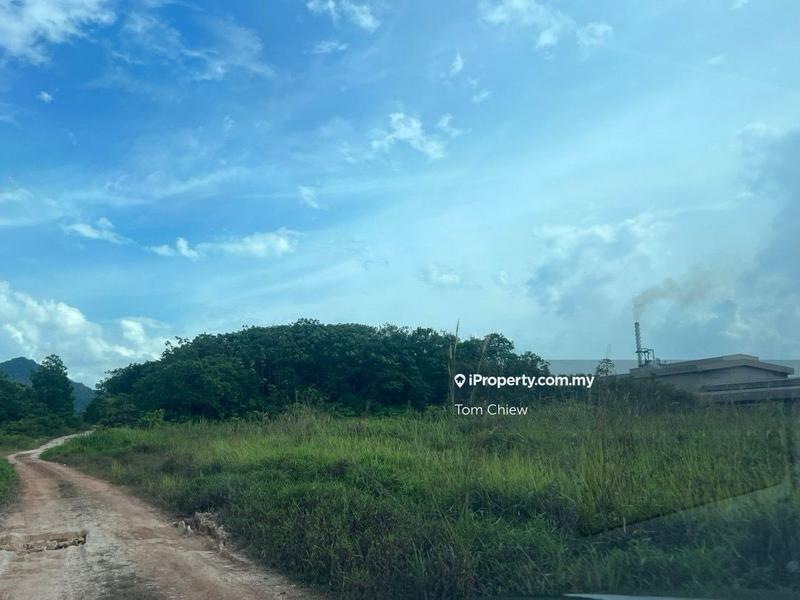 Tanah Pertanian untuk Dijual di Sungai Tiram, Ulu Tiram oleh Tom Chiew - iProperty.com.my