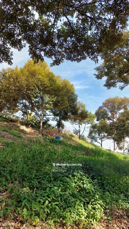 Agricultural Land for Sale in Taman Jelebu, Kuala Klawang by Ken Tham - iProperty.com.my