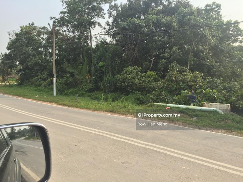 Agricultural Land for Sale in Tanjung Kupang, Iskandar Puteri (Nusajaya) by Yow Han Meng - iProperty.com.my