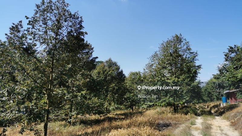 Agricultural Land for Sale in Beranang, Ulu Langat by Wilson Tan - iProperty.com.my