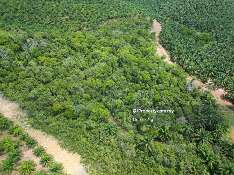 For Sale - Bedong to Bukit Selambau Agricultural Land