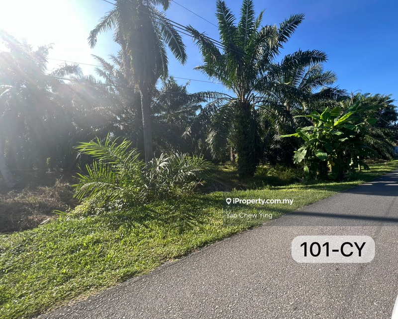 Agricultural Land for Sale in Kampung Sijangkang, Telok Panglima Garang by Yap Chew Ying - iProperty.com.my