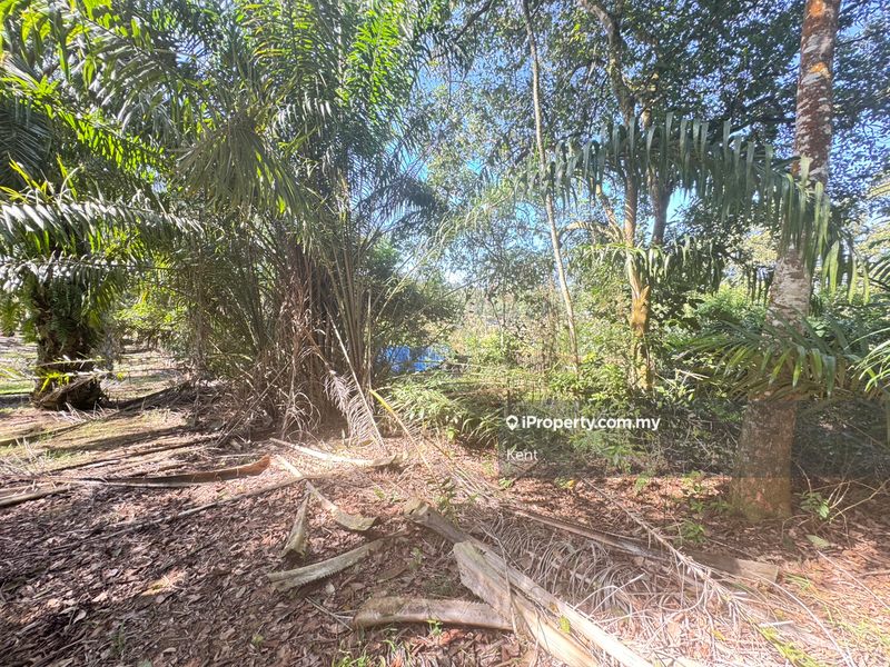Agricultural Land for Sale in Siputeh, Belanja by Kent C - iProperty.com.my