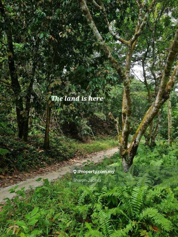 For Sale - Lot No 15701