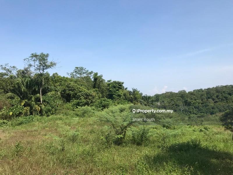Agricultural Land for Sale in Agriculture land Sungai Merab Sepang Dengkil, Dengkil by Sharil Routh - iProperty.com.my