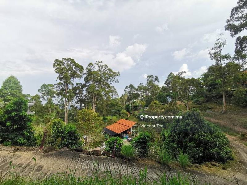 Tanah Pertanian untuk Dijual di Bukit Relau, Balik Pulau oleh Vincent Tee - iProperty.com.my