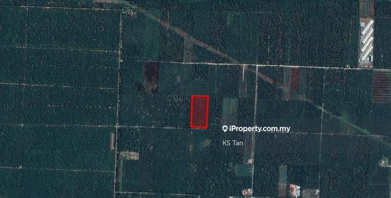 For Sale - Parit Mahang Agriculture Land