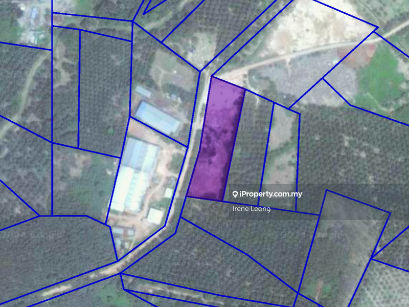 Tanah Perindustrian untuk Dijual di Taman Mentakab, Mentakab oleh Irene Leong - iProperty.com.my