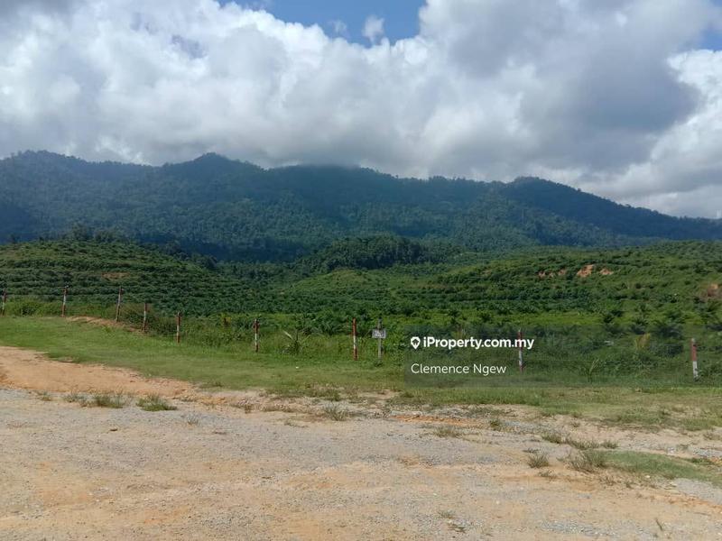 For Sale - Agriculture Land