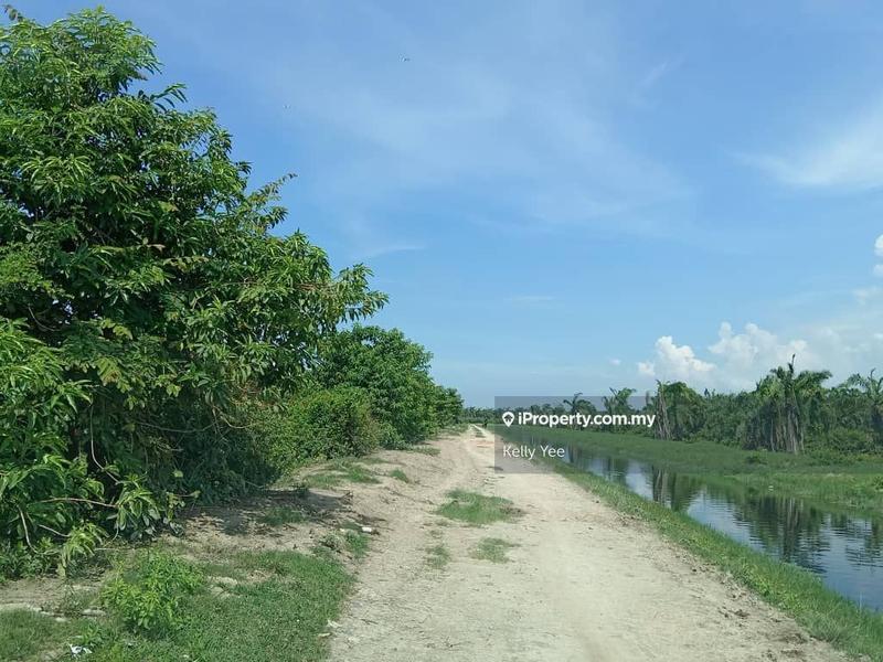 Tanah Pertanian untuk Dijual di Nibong Tebal, Penang oleh Kelly Yee - iProperty.com.my