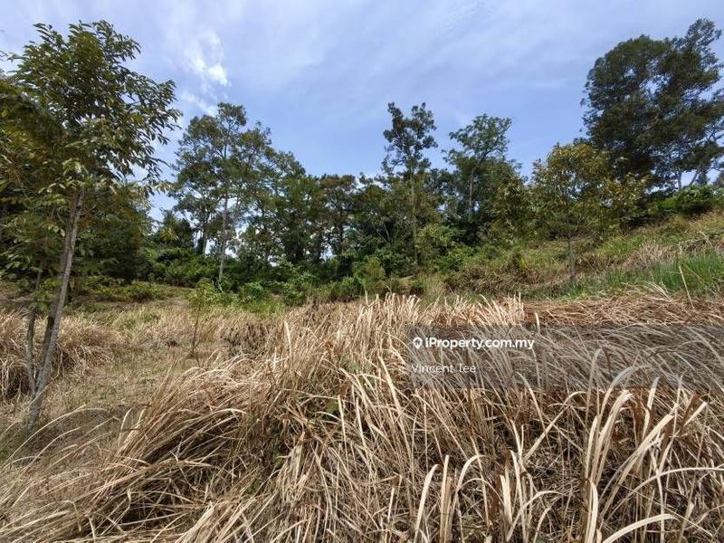 Agricultural Land for Sale in Bandar Lipis, Kuala Lipis by Vincent Tee - iProperty.com.my