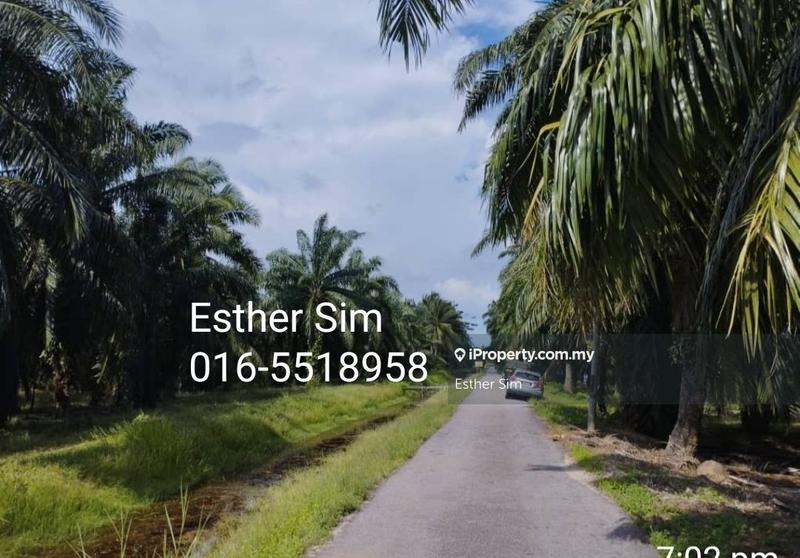 For Sale - Development land facing main road