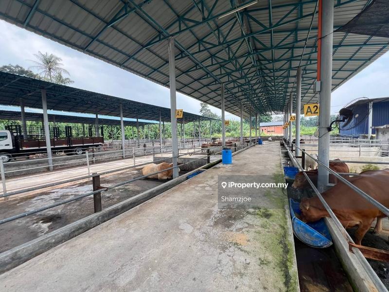 Tanah Pertanian untuk Dijual di Bangi, Bangi oleh Shamzjoe - iProperty.com.my